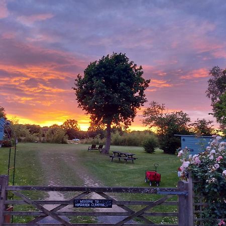 Hopgarden Glamping Luxury Shepherds Huts Wadhurst ภายนอก รูปภาพ
