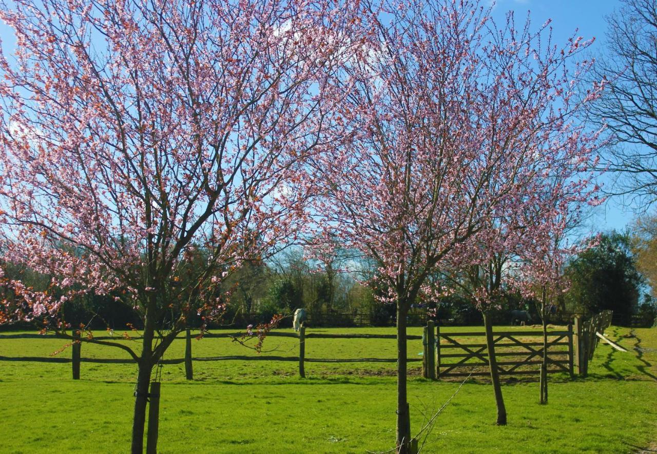 Hopgarden Glamping Luxury Shepherds Huts Wadhurst ภายนอก รูปภาพ