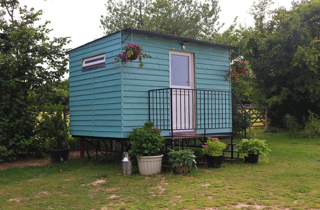 Hopgarden Glamping Luxury Shepherds Huts Wadhurst ภายนอก รูปภาพ