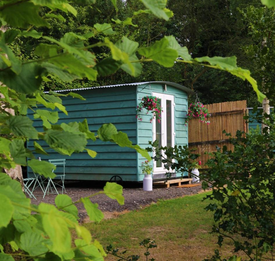 Hopgarden Glamping Luxury Shepherds Huts Wadhurst ภายนอก รูปภาพ