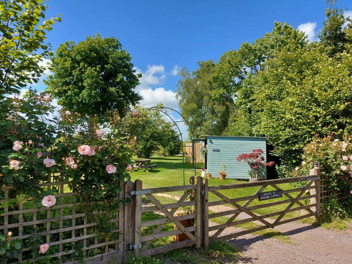 Hopgarden Glamping Luxury Shepherds Huts Wadhurst ภายนอก รูปภาพ