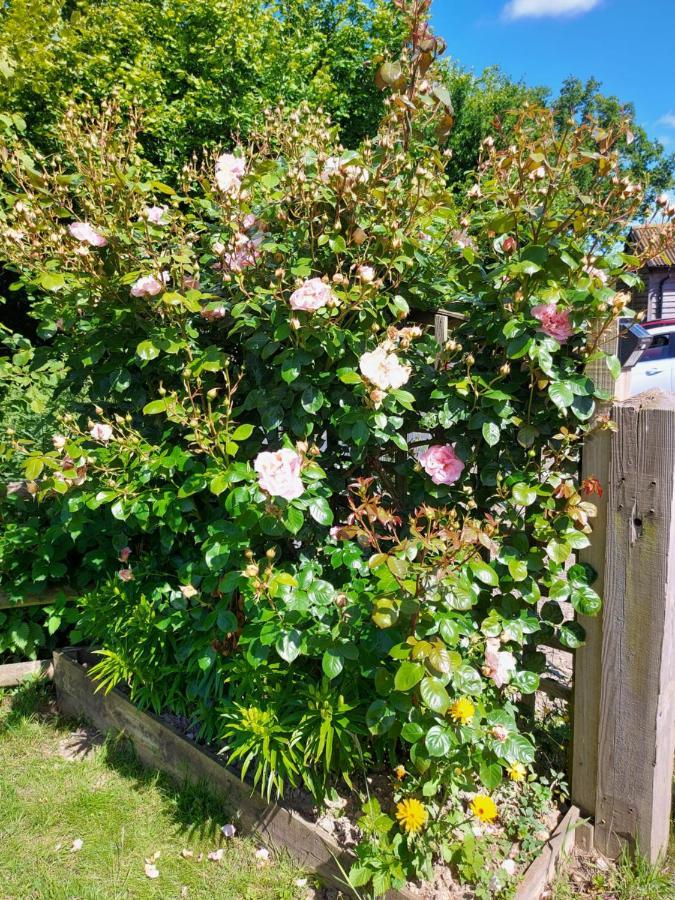 Hopgarden Glamping Luxury Shepherds Huts Wadhurst ภายนอก รูปภาพ