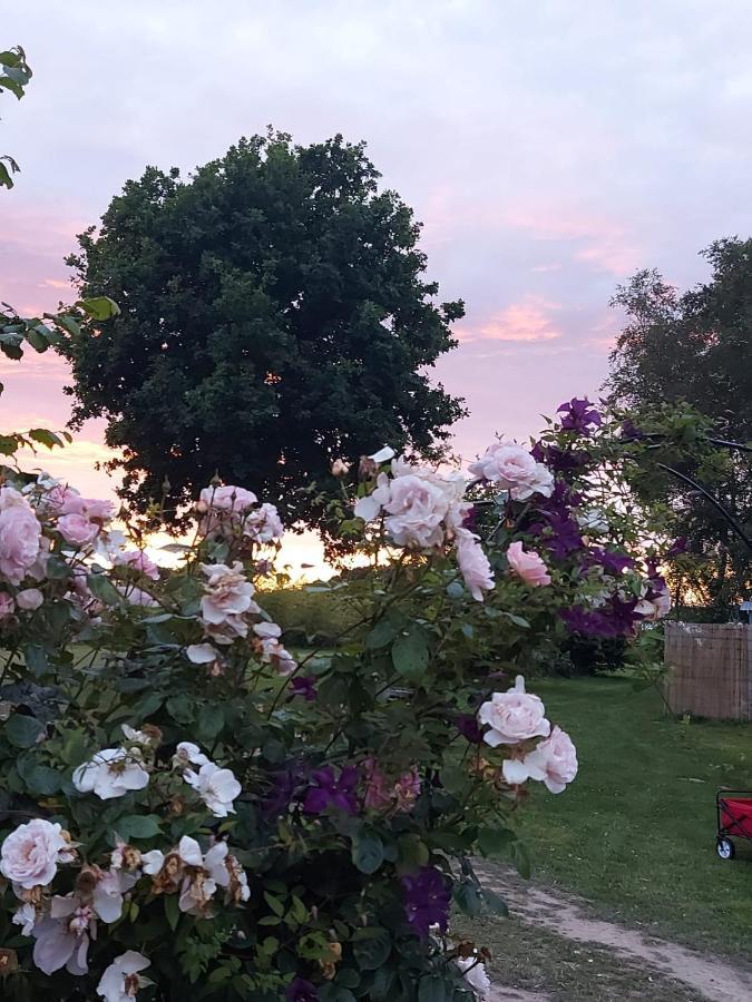 Hopgarden Glamping Luxury Shepherds Huts Wadhurst ภายนอก รูปภาพ